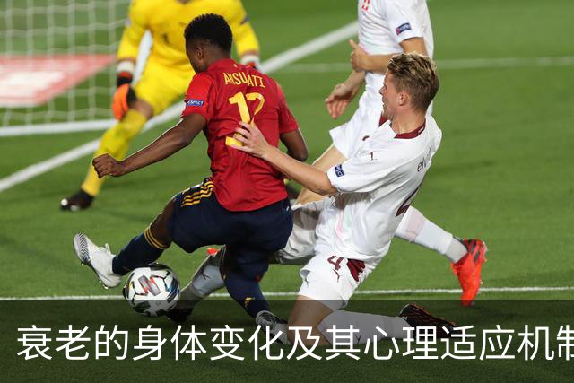 衰老的身体变化及其心理适应机制研究